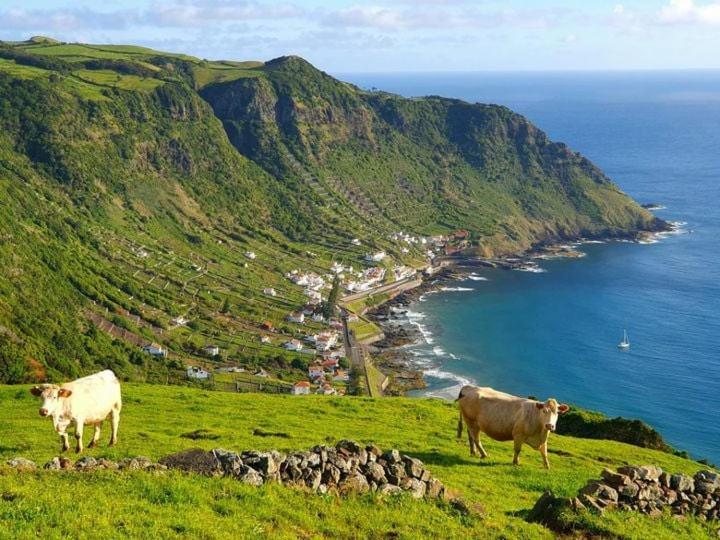 Azor International House Villa Ponta Delgada  Ngoại thất bức ảnh